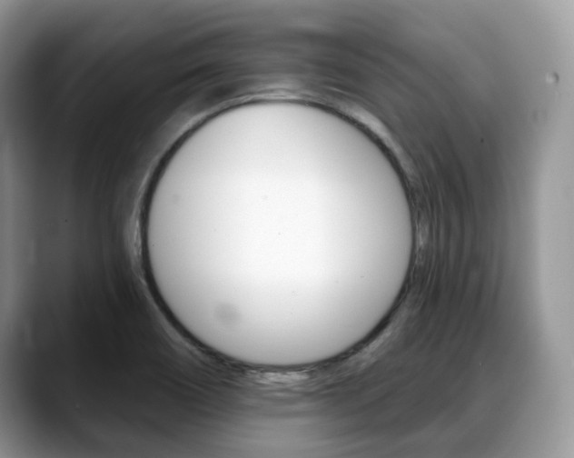 X0000088891466200706080757