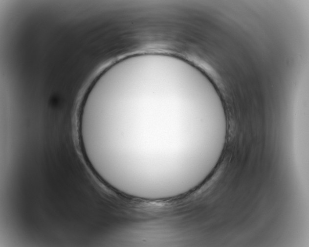 X0000088891470200706080757