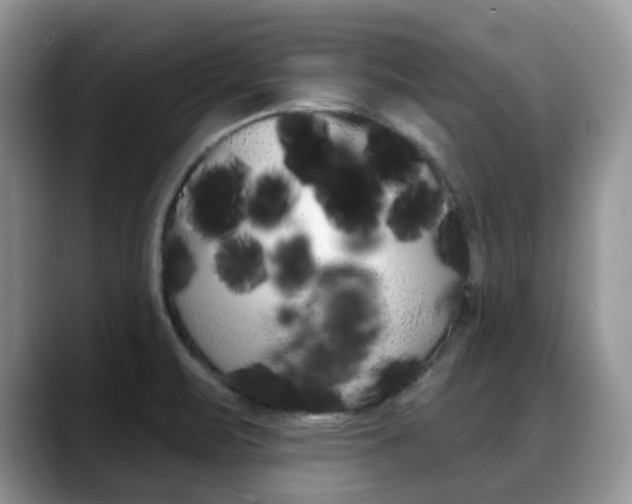 X0000088891471200706080757