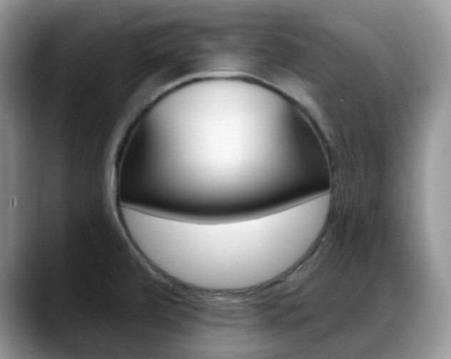 X0000088891472200706080756