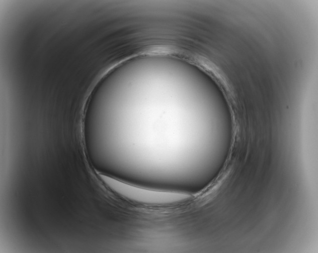 X0000088891473200706080756