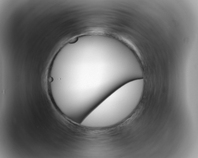 X0000088891475200706080756