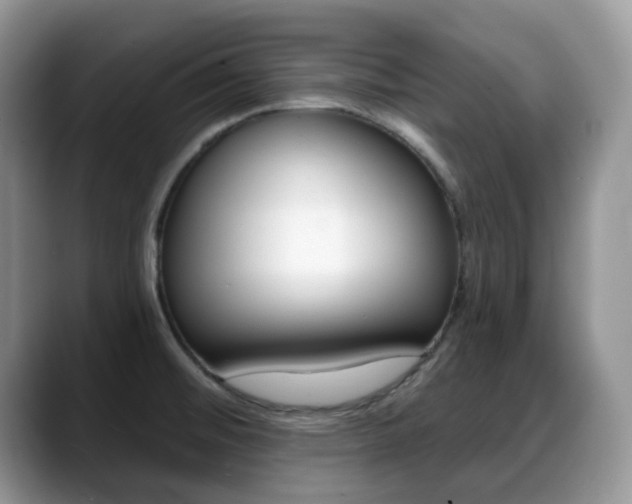 X0000088891476200706080756