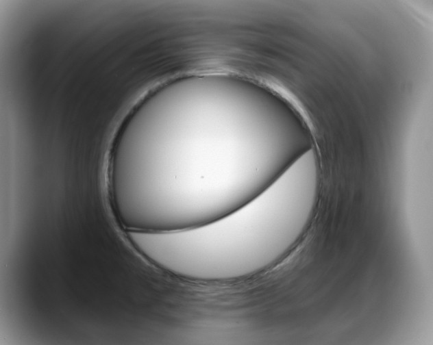 X0000088891477200706080756