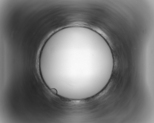 X0000088891478200706080756