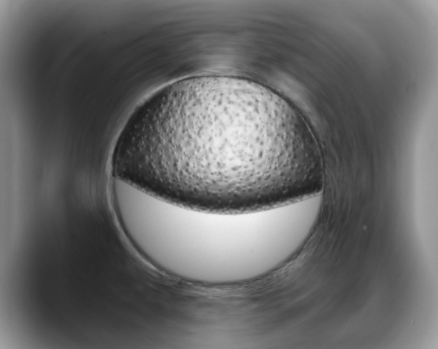 X0000088891479200706080756
