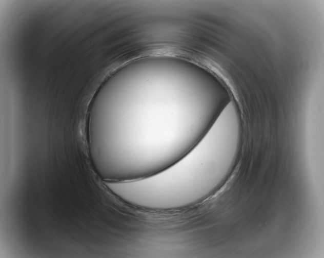 X0000088891481200706080756
