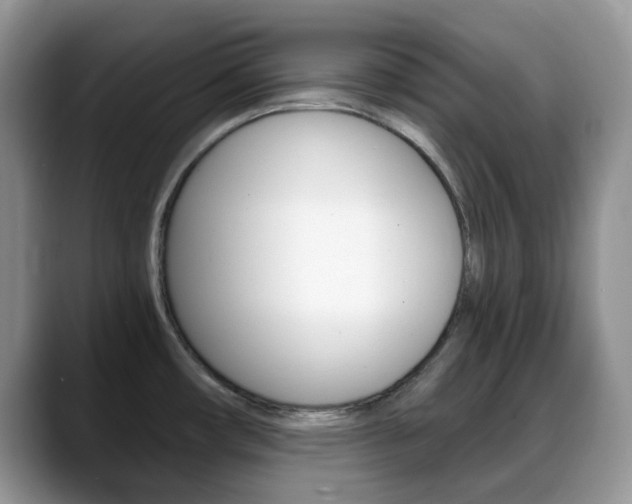 X0000088891482200706080756
