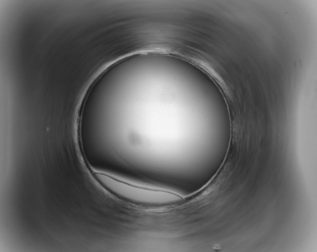 X0000088891484200706080756