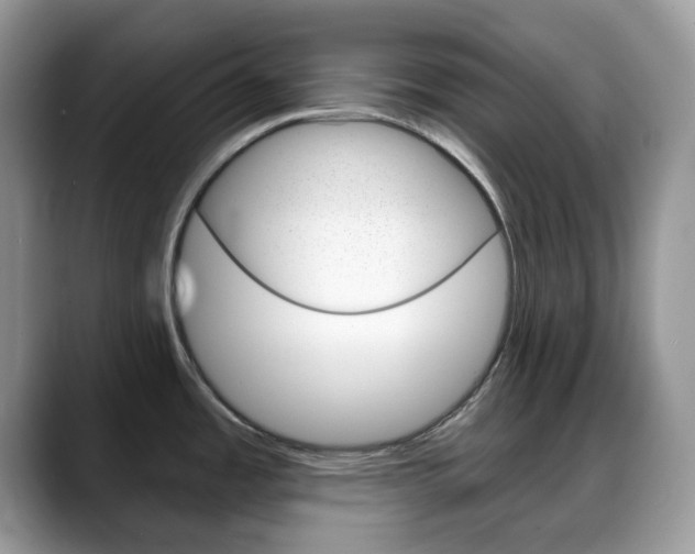 X0000088891485200706080756