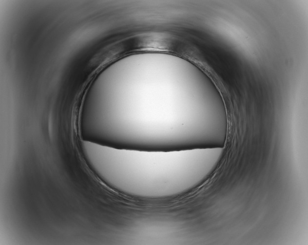 X0000088891487200706080756