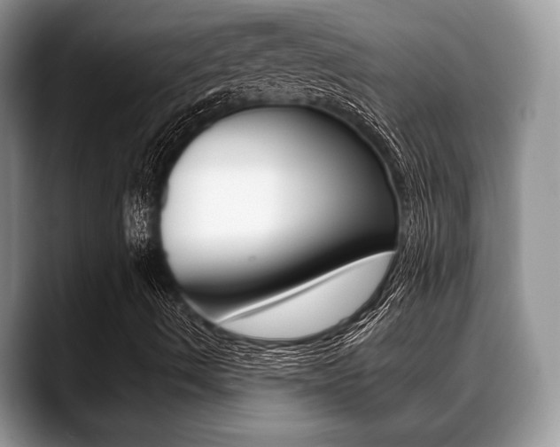 X0000088891490200706080756