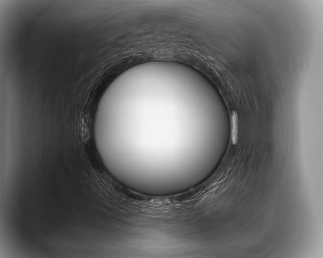 X0000088891491200706080756