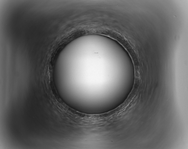 X0000088891493200706080756