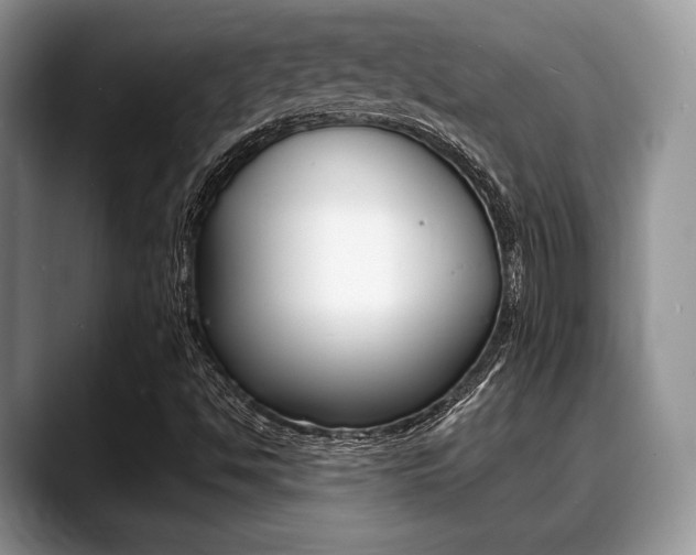 X0000088891494200706080756