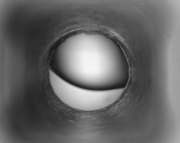 X0000088891496200706080756
