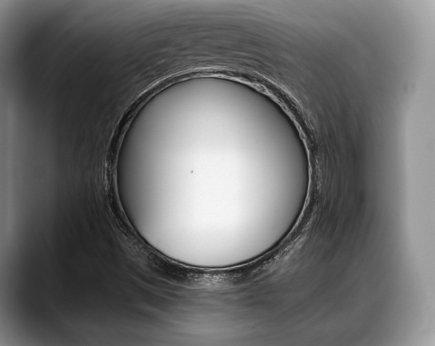 X0000088891497200706080756