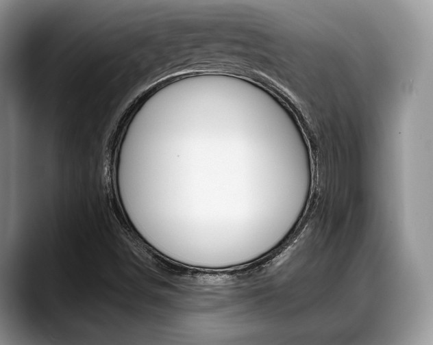 X0000088891498200706080756