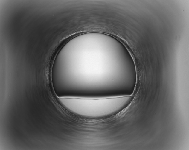 X0000088891499200706080756