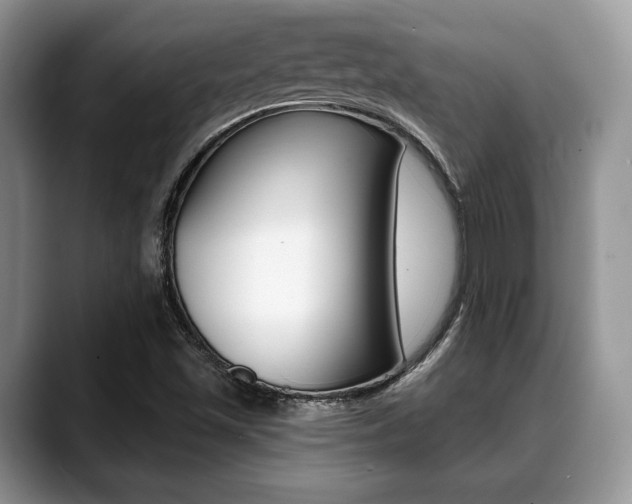 X0000088891501200706080756