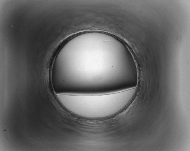 X0000088891503200706080756