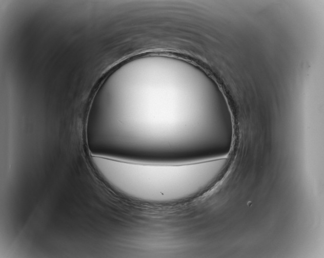 X0000088891505200706080756