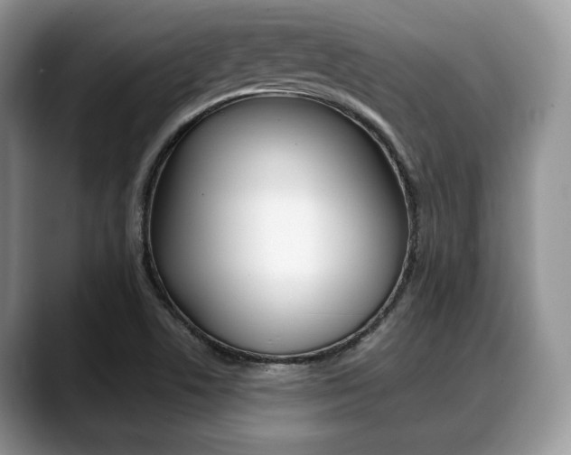 X0000088891506200706080756