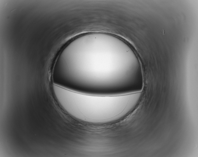 X0000088891507200706080756