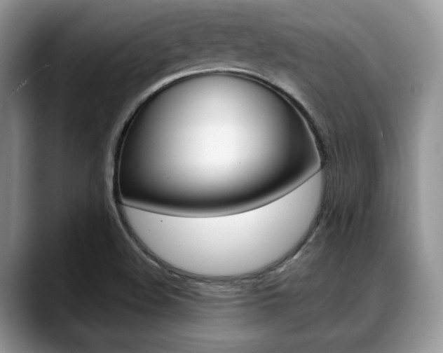 X0000088891508200706080756