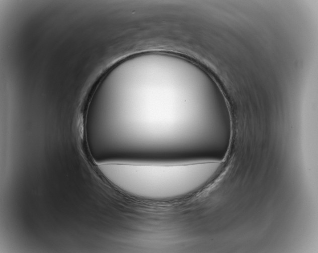 X0000088891509200706080756