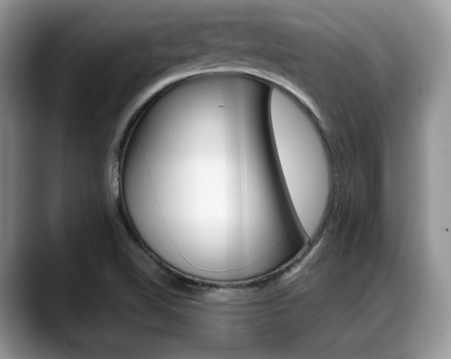 X0000088891510200706080756