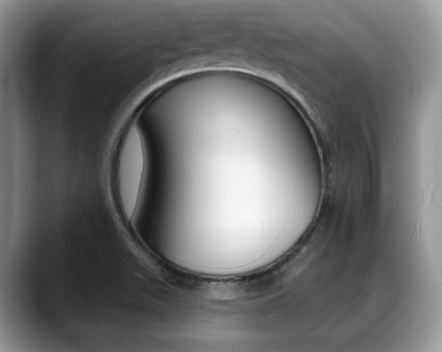 X0000088891511200706080756
