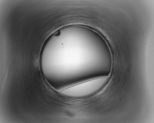 X0000088891513200706080756