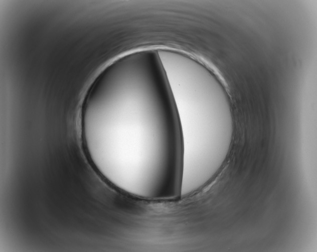 X0000088891516200706080756