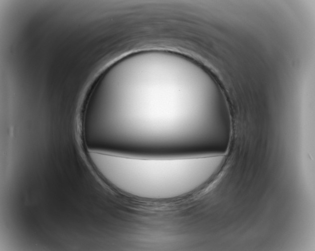 X0000088891517200706080756