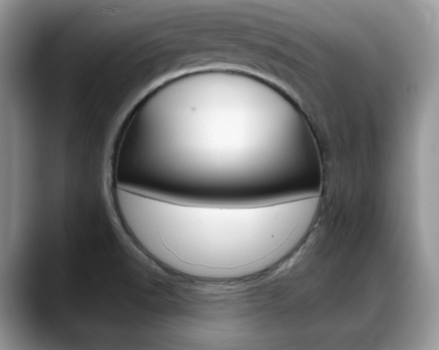 X0000088891518200706080756