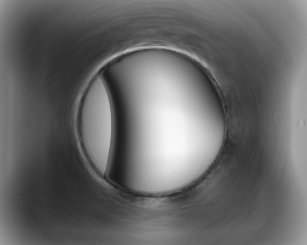 X0000088891519200706080756
