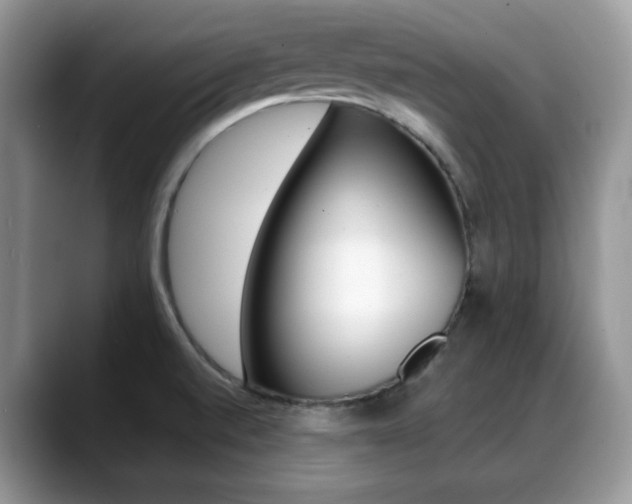 X0000088891520200706080756