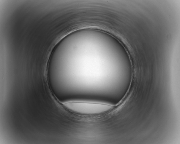 X0000088891521200706080756