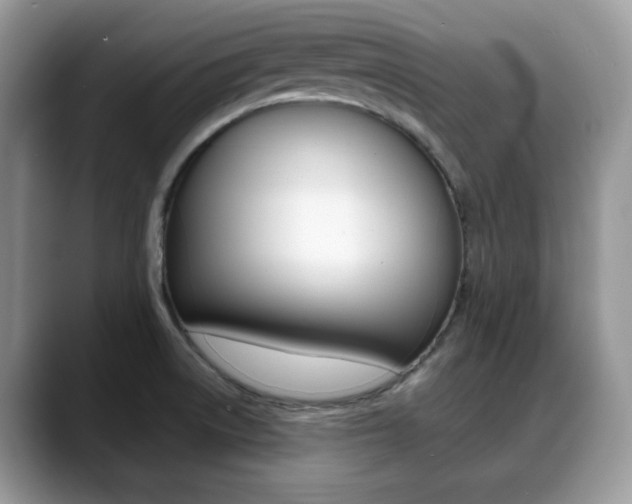 X0000088891522200706080756