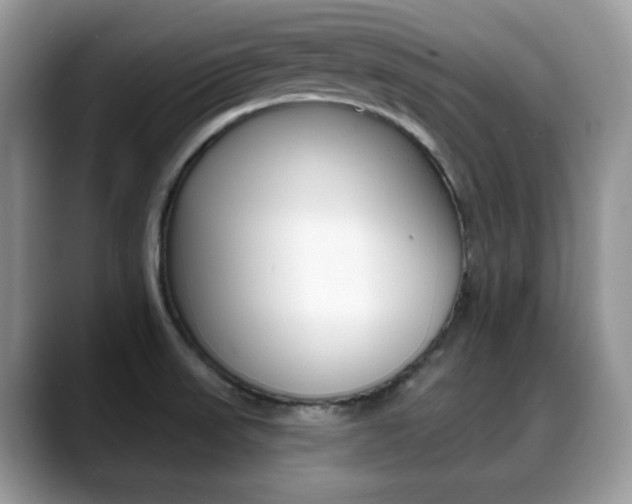 X0000088891523200706080756