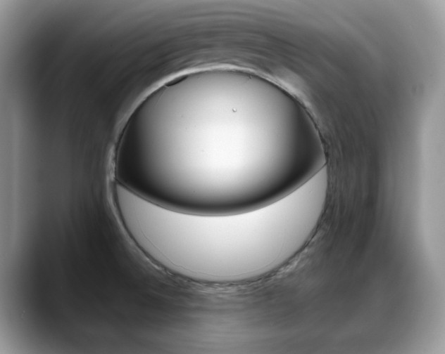 X0000088891524200706080756