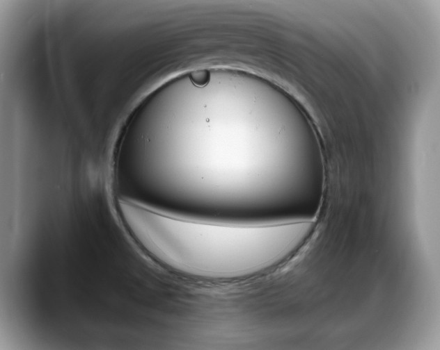 X0000088891525200706080756
