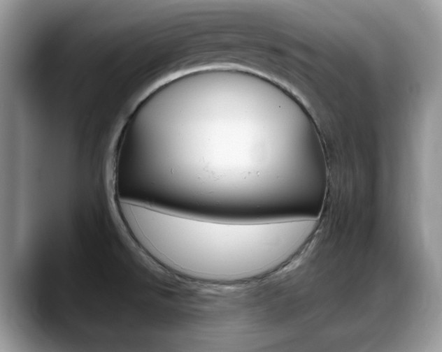 X0000088891526200706080756