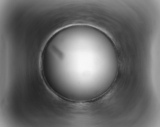X0000088891527200706080756