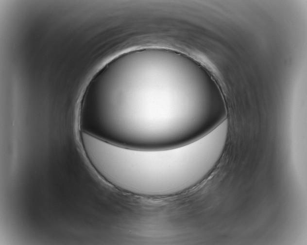 X0000088891528200706080756