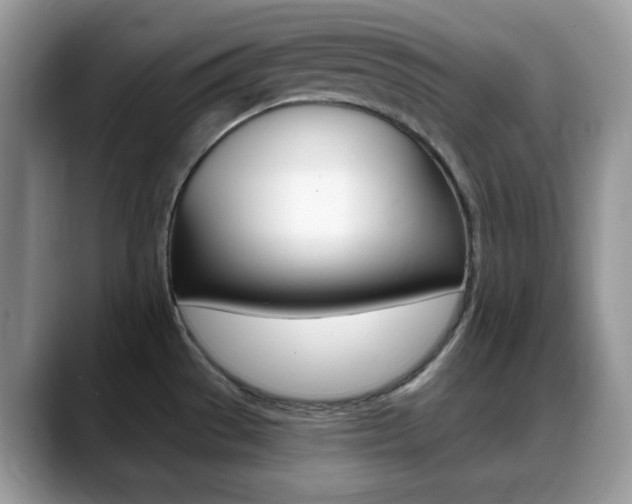 X0000088891529200706080756