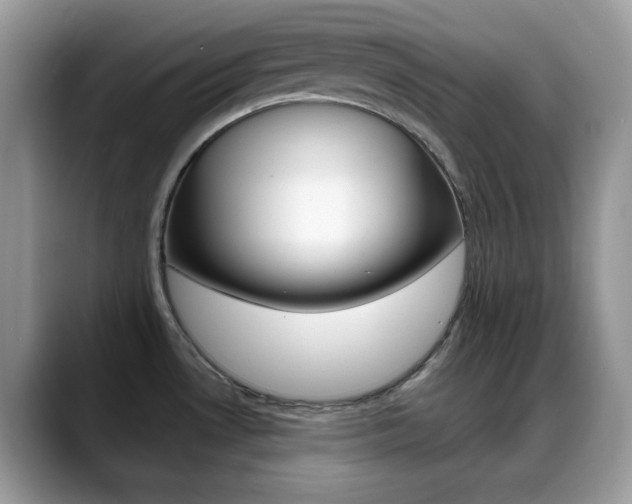 X0000088891530200706080756