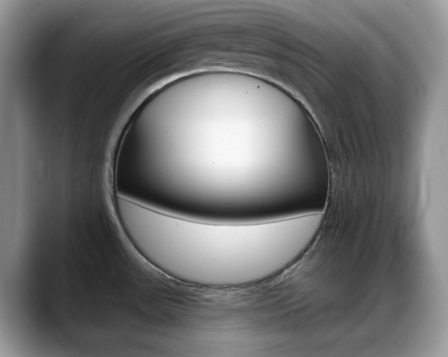 X0000088891531200706080756