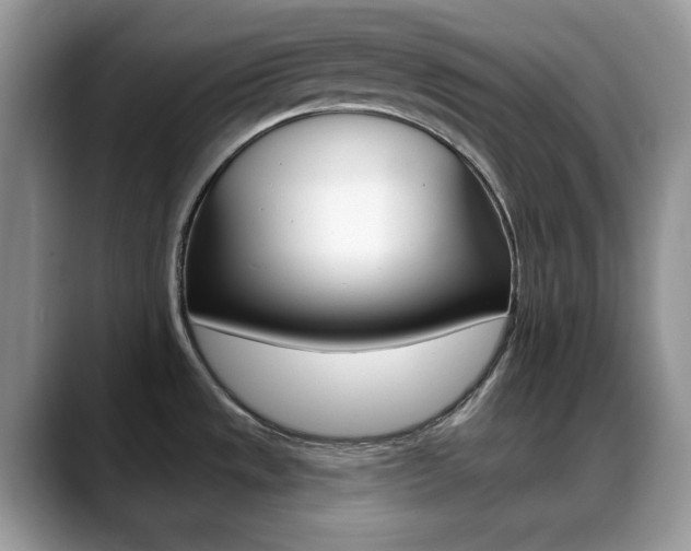 X0000088891533200706080756